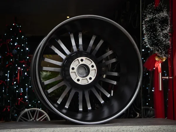 Mansory CS.10 Doublespoke 21 Inch